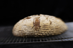 bread_hand-3-of-4