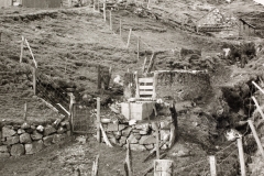 Fences, Park, Lewis 1981