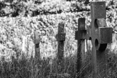 graves-15