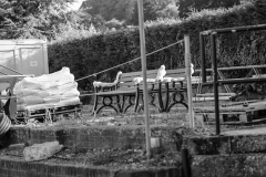 graves-2