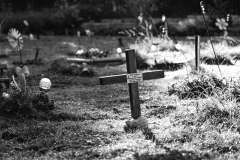 graves-12
