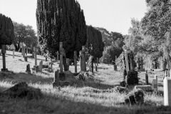 graves-1