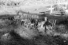 graves-14