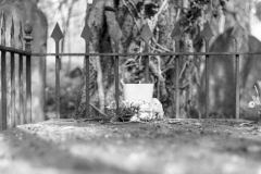 grave-11