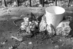 grave-12