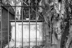 grave-14