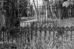 grave-16
