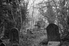 grave-17