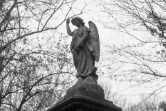 grave-19