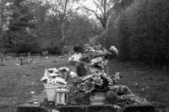 grave-22
