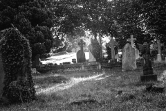 graves-11