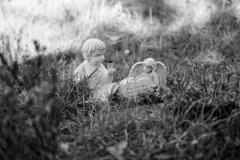 graves-12