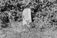 graves-16