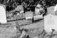 graves-18