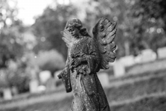 graves-2