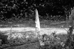 graves-23