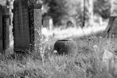 graves-41