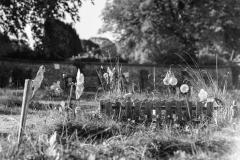 graves-42