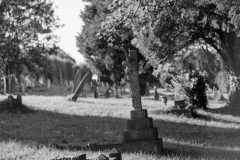 graves-45