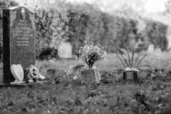 graves-5