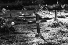 graves-50