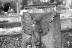 graves-7