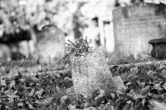 graves-8