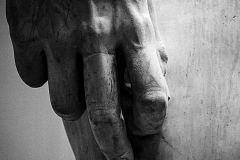 photo_6