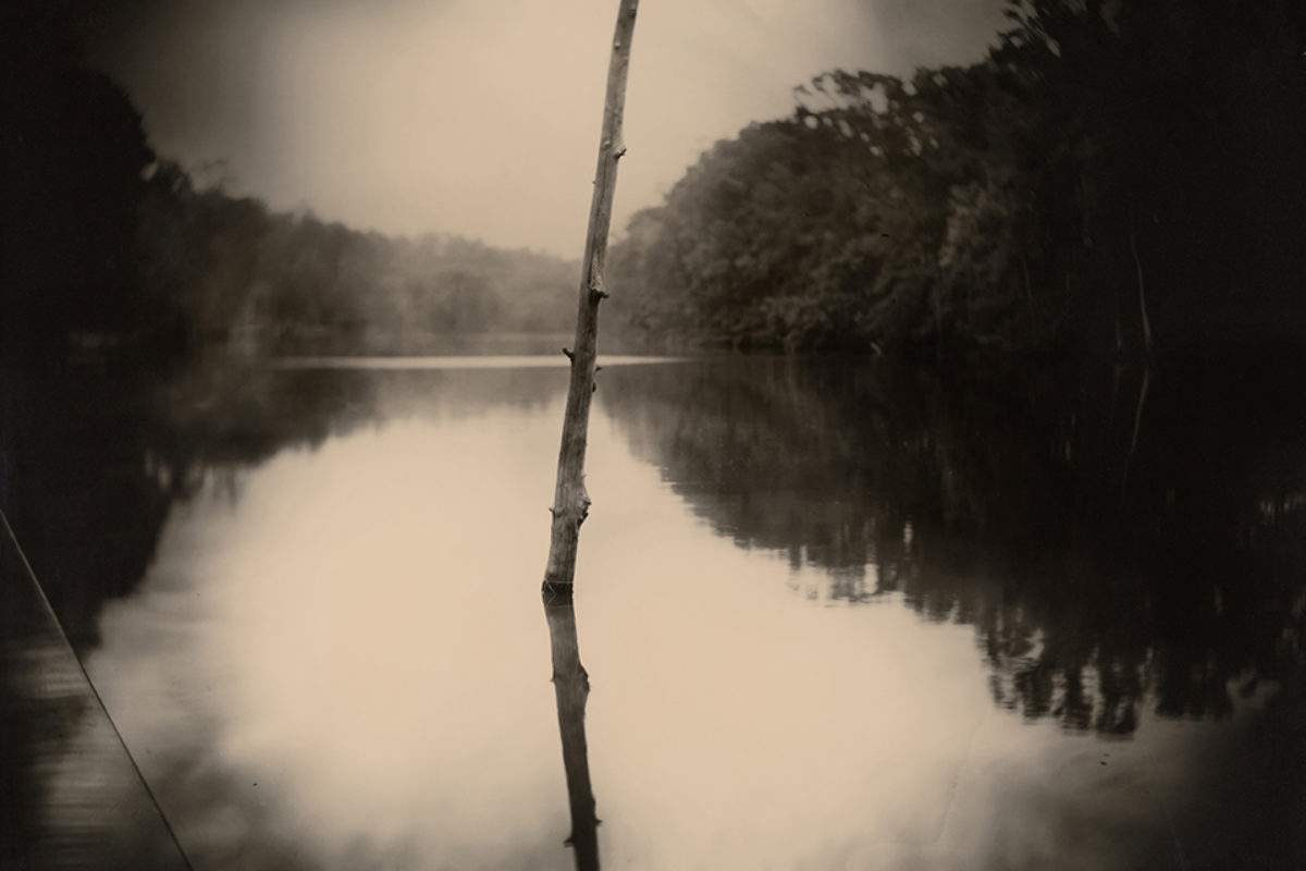 Sally Mann, (American, born 1951) Deep South, Untitled (Stick), 1998 gelatin silver print, printed 1999 New Orleans Museum of Art, Collection of H. Russell Albright, M.D.