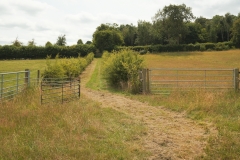 Line_2