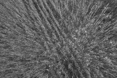 Flat_Pictorial_Space_5